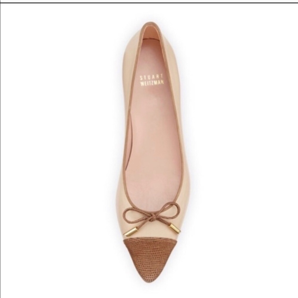 Stuart Weitzman Capricorn Pointed Toe Flats